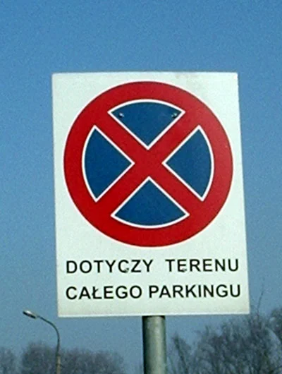 Zdjęcie z galerii