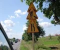 Zdjęcie z galerii